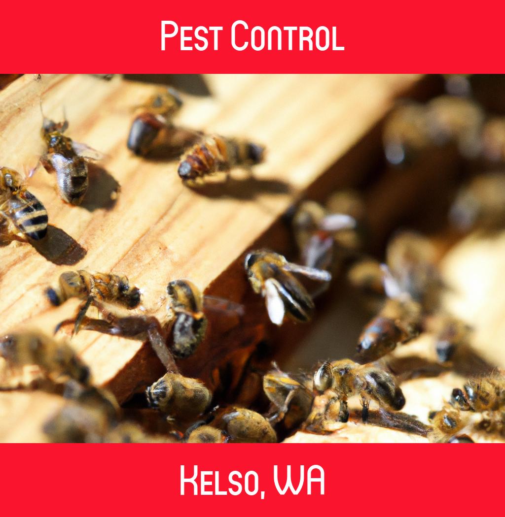 pest control in Kelso Washington
