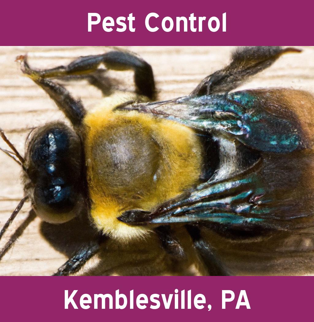 pest control in Kemblesville Pennsylvania