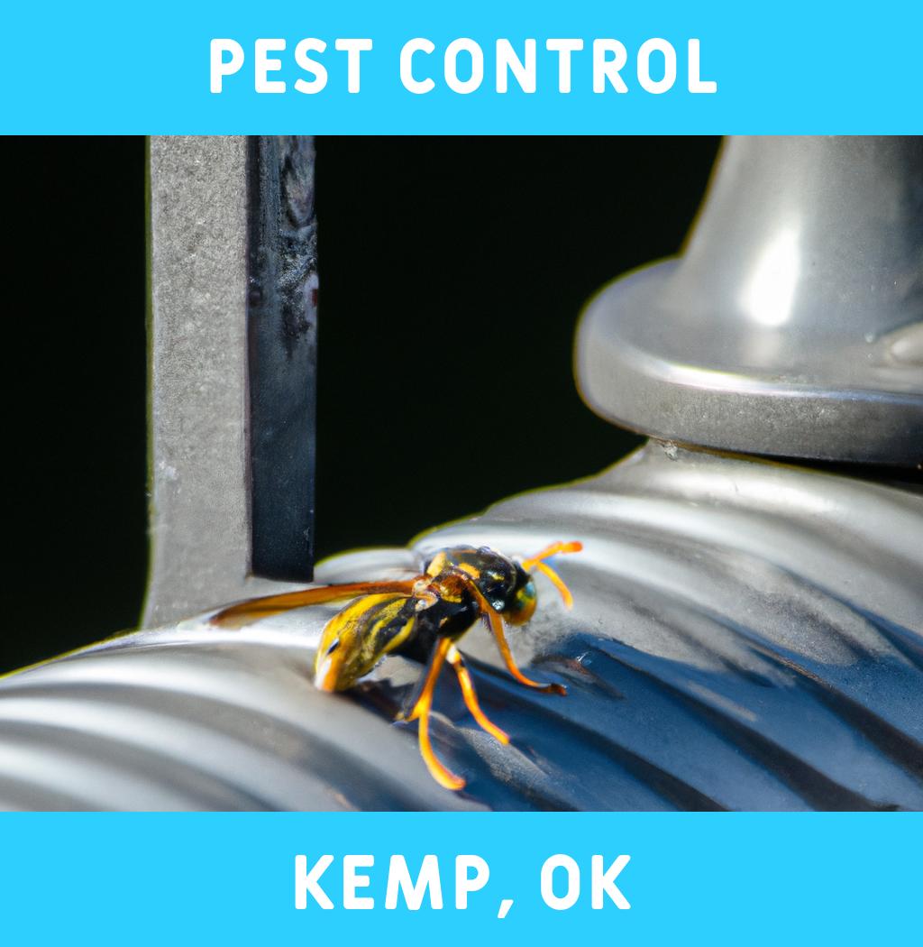 pest control in Kemp Oklahoma