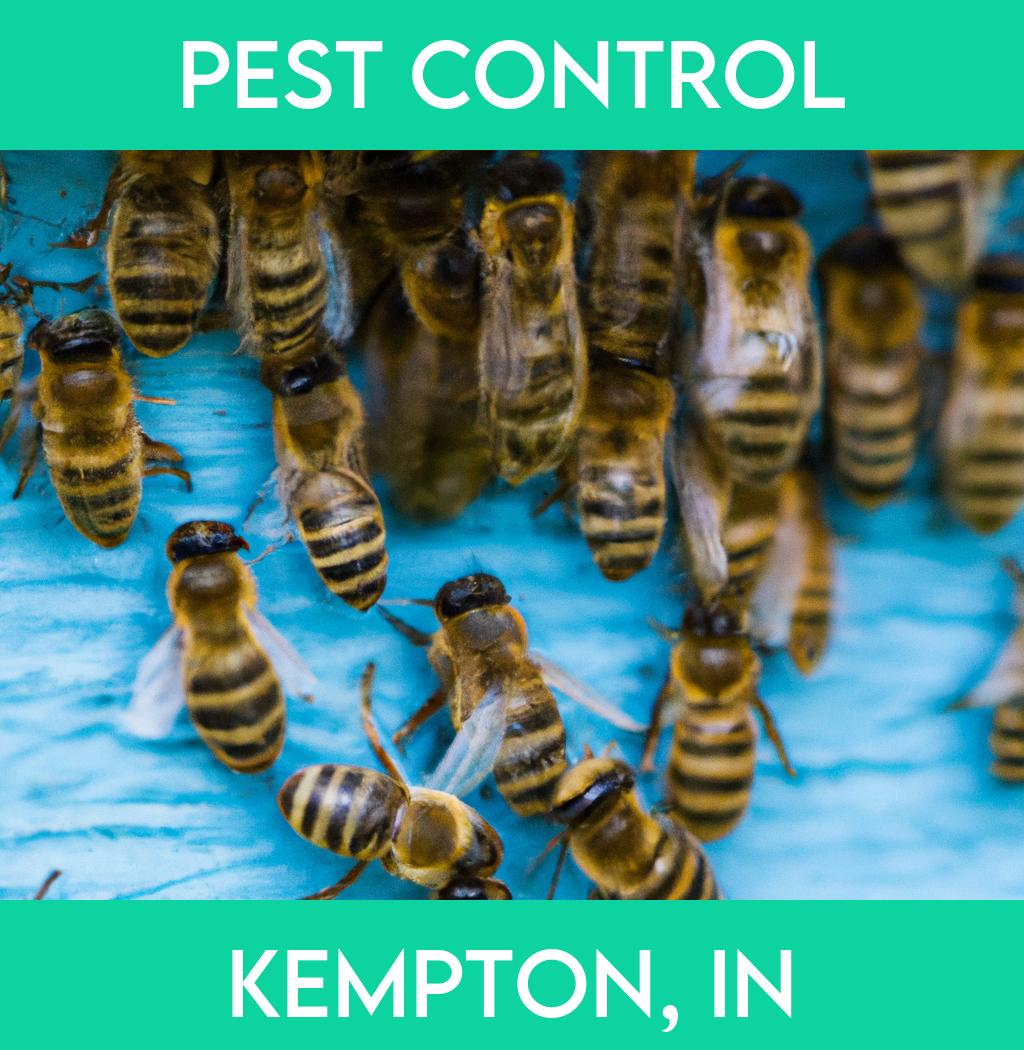 pest control in Kempton Indiana