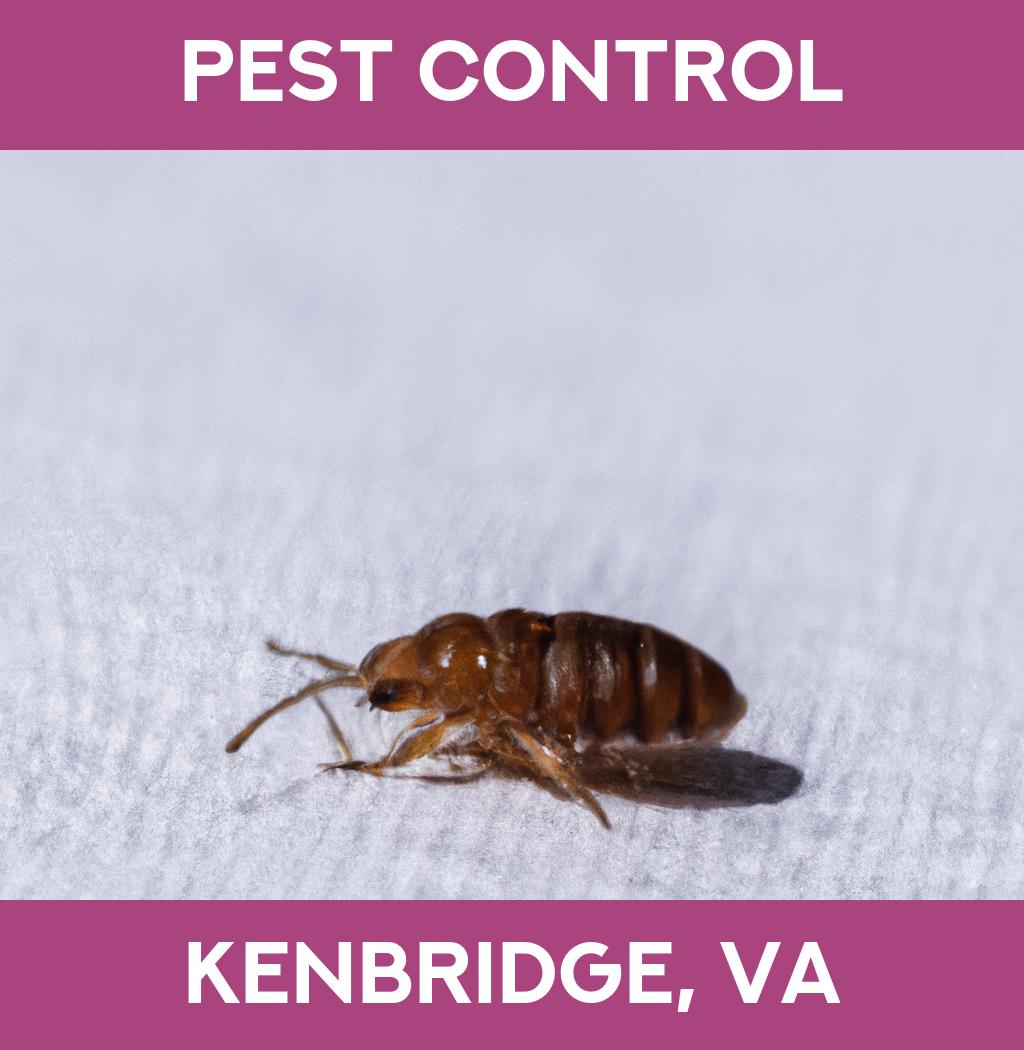 pest control in Kenbridge Virginia