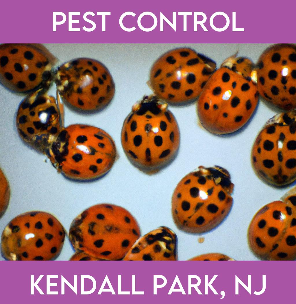 pest control in Kendall Park New Jersey