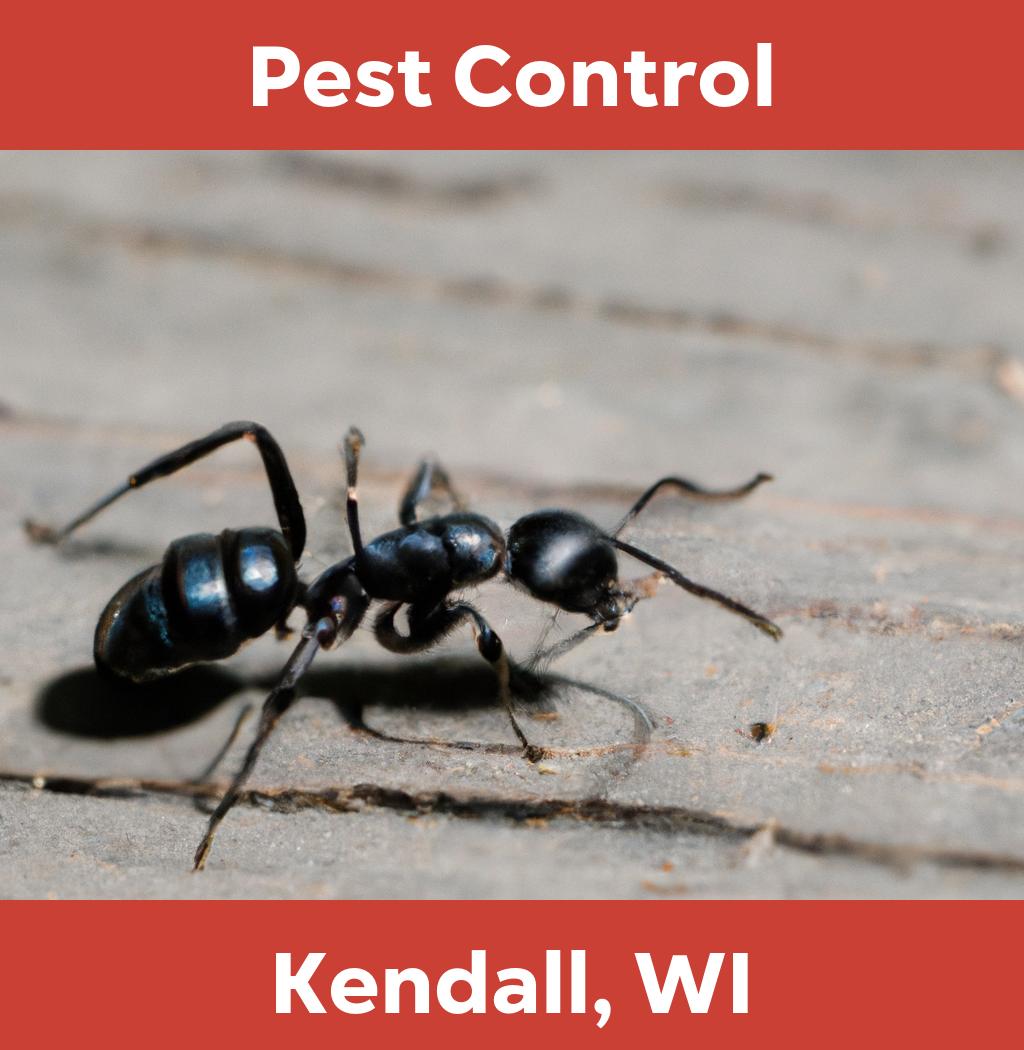 pest control in Kendall Wisconsin