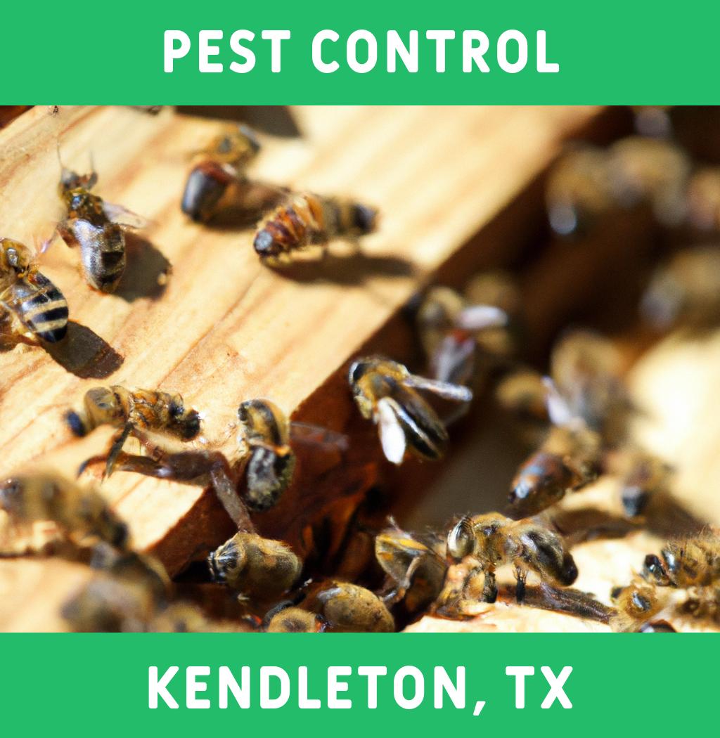 pest control in Kendleton Texas