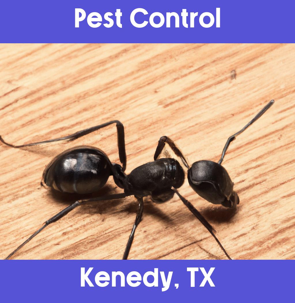 pest control in Kenedy Texas