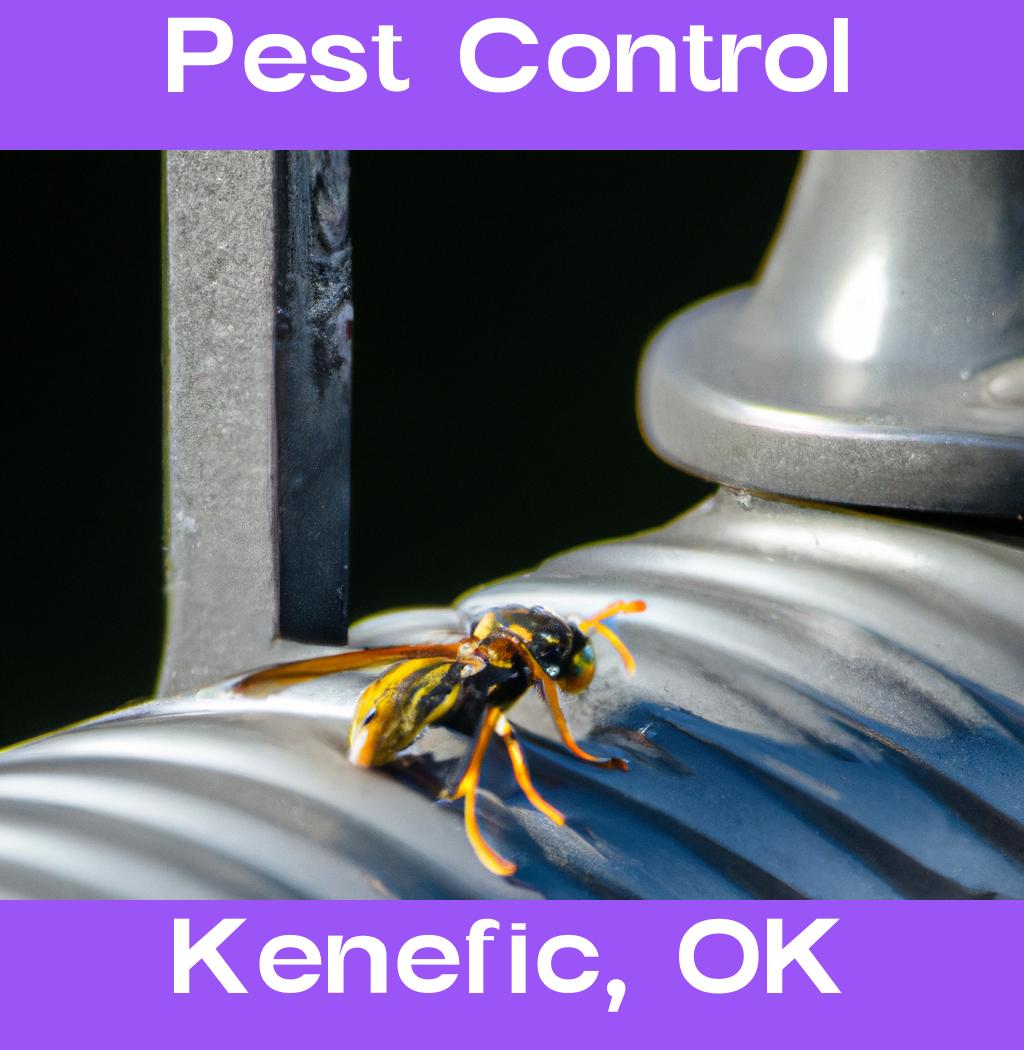 pest control in Kenefic Oklahoma