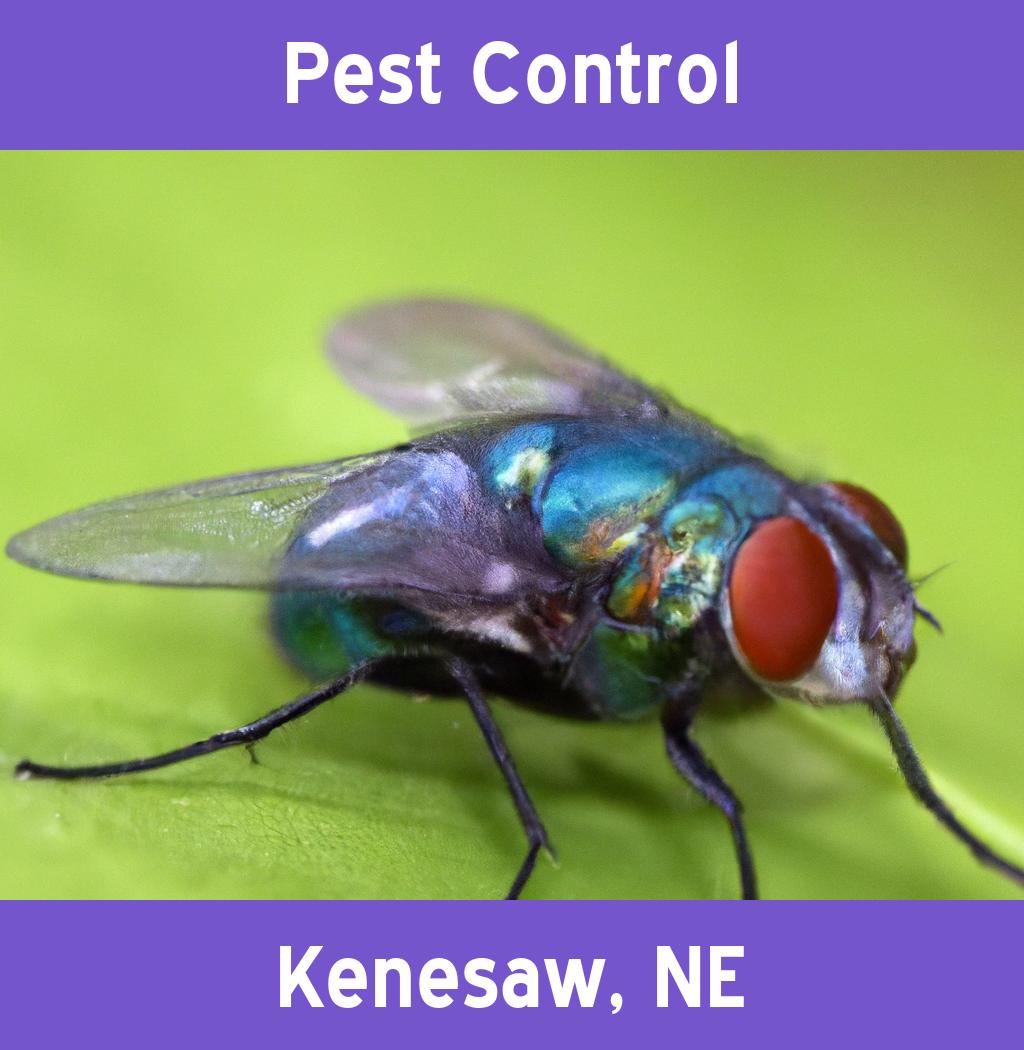 pest control in Kenesaw Nebraska
