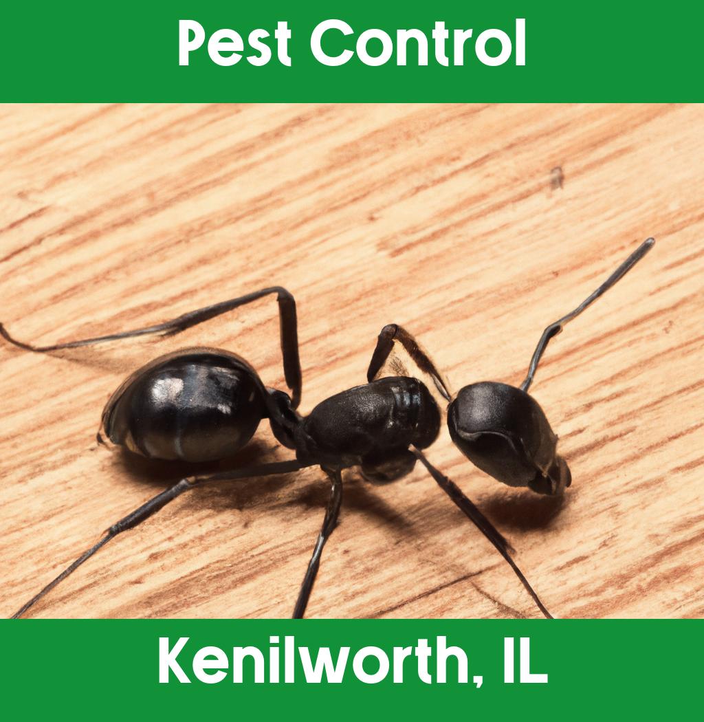 pest control in Kenilworth Illinois