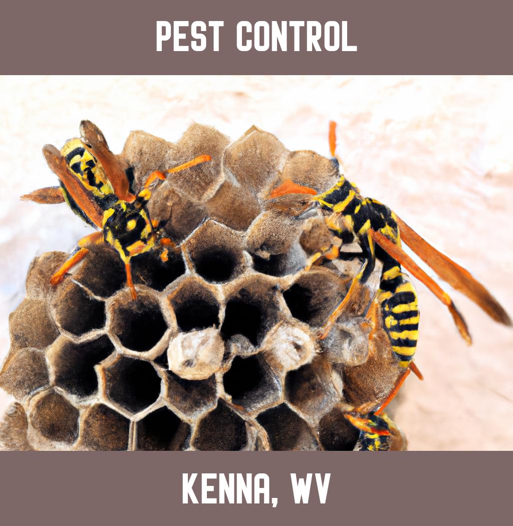 pest control in Kenna West Virginia