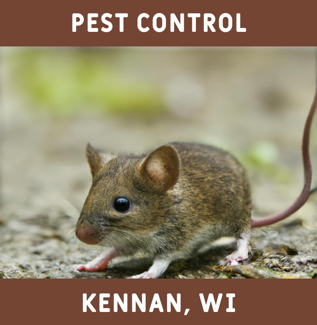 pest control in Kennan Wisconsin