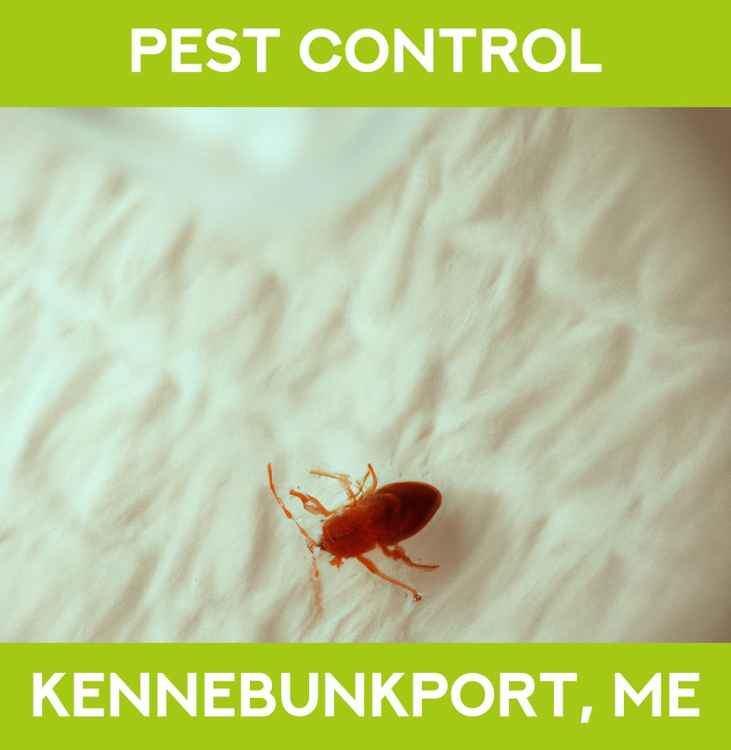 pest control in Kennebunkport Maine