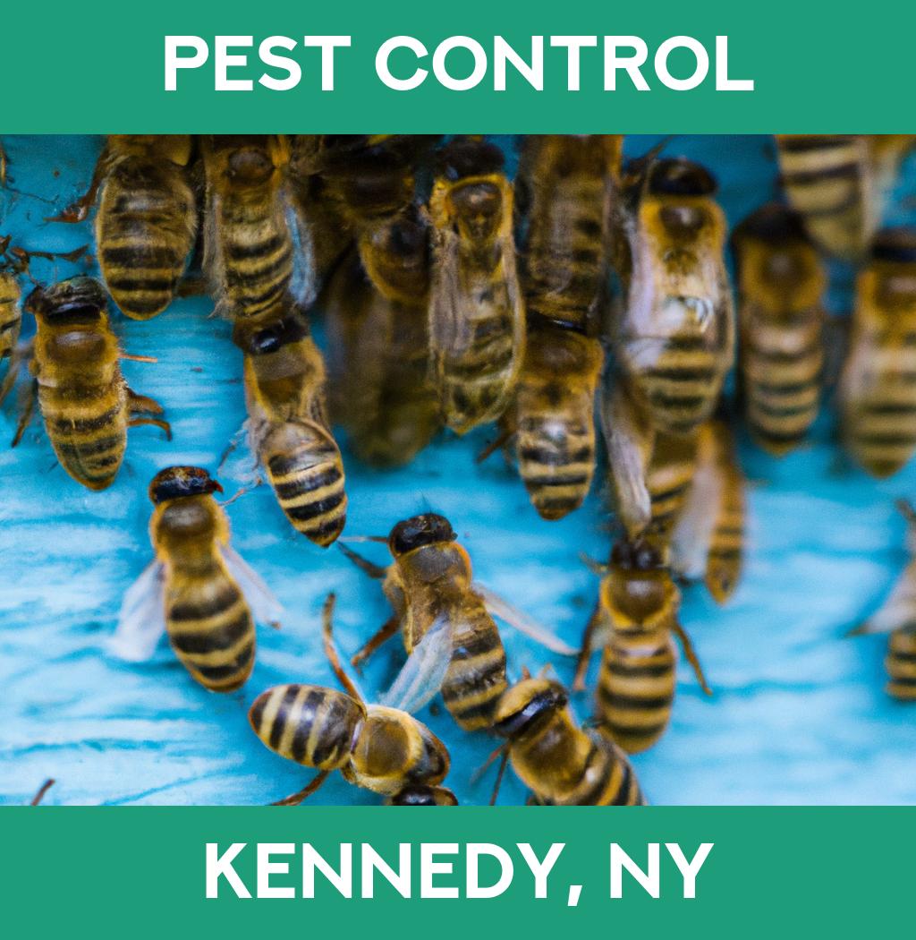 pest control in Kennedy New York