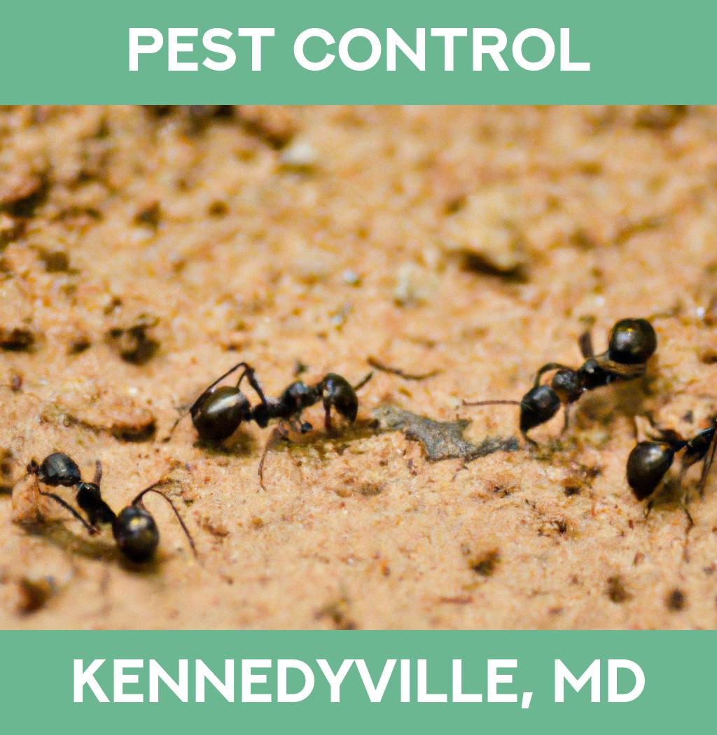 pest control in Kennedyville Maryland