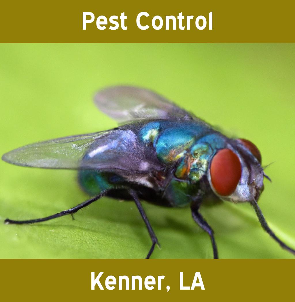 pest control in Kenner Louisiana