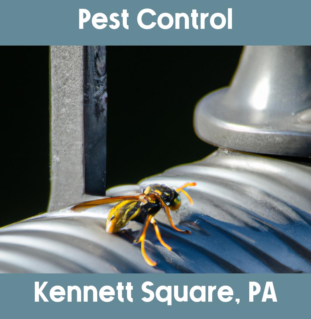 pest control in Kennett Square Pennsylvania