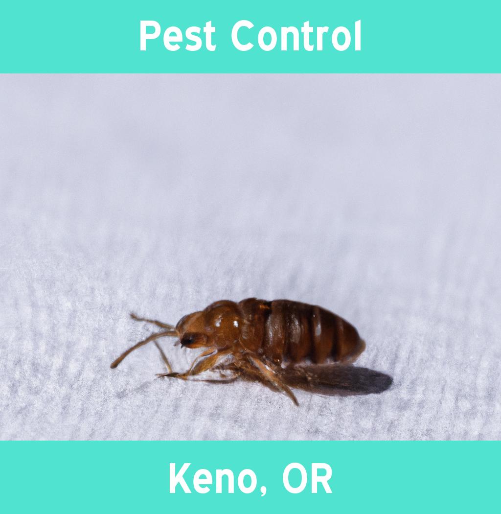 pest control in Keno Oregon
