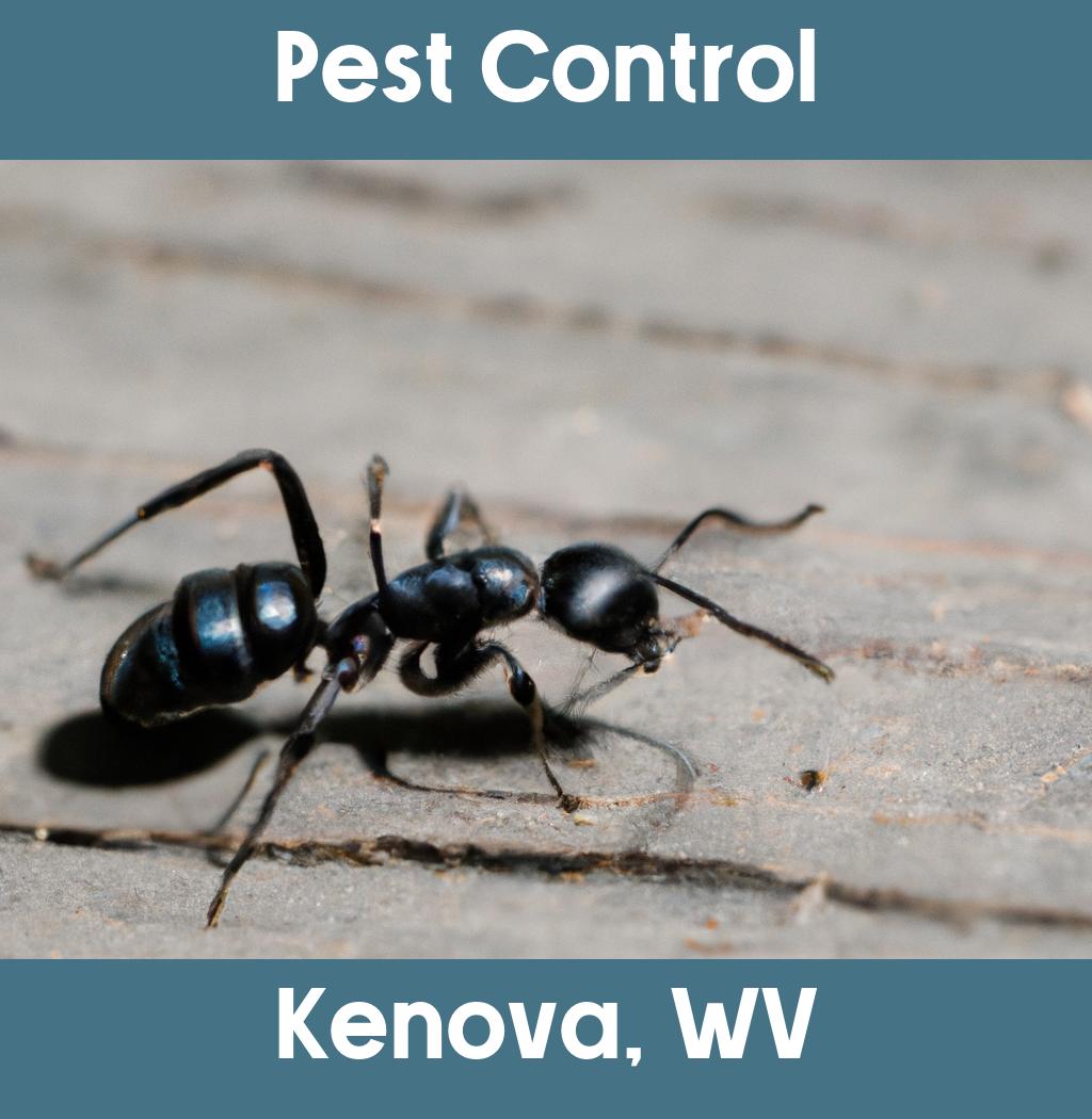 pest control in Kenova West Virginia