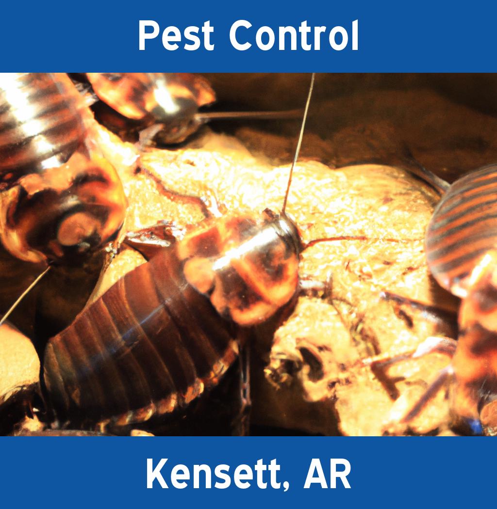 pest control in Kensett Arkansas