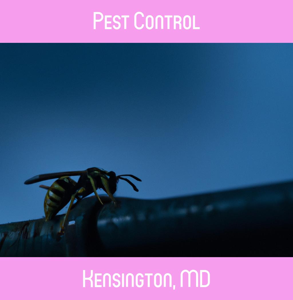 pest control in Kensington Maryland