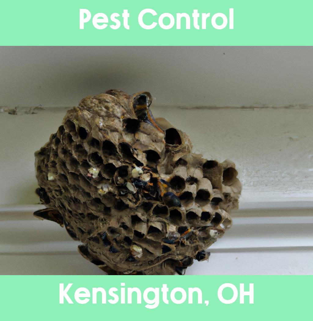 pest control in Kensington Ohio