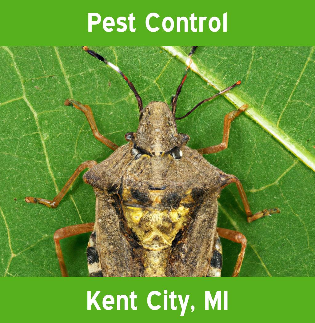 pest control in Kent City Michigan