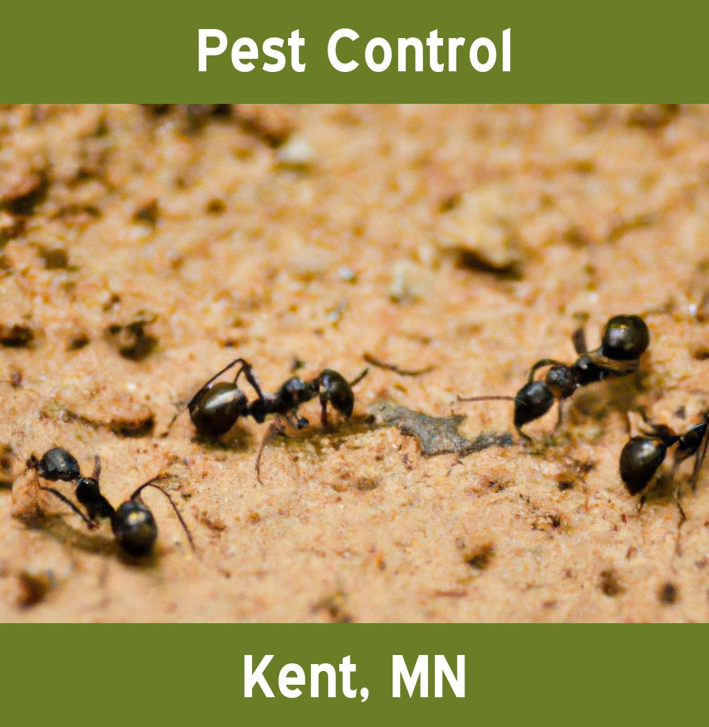 pest control in Kent Minnesota