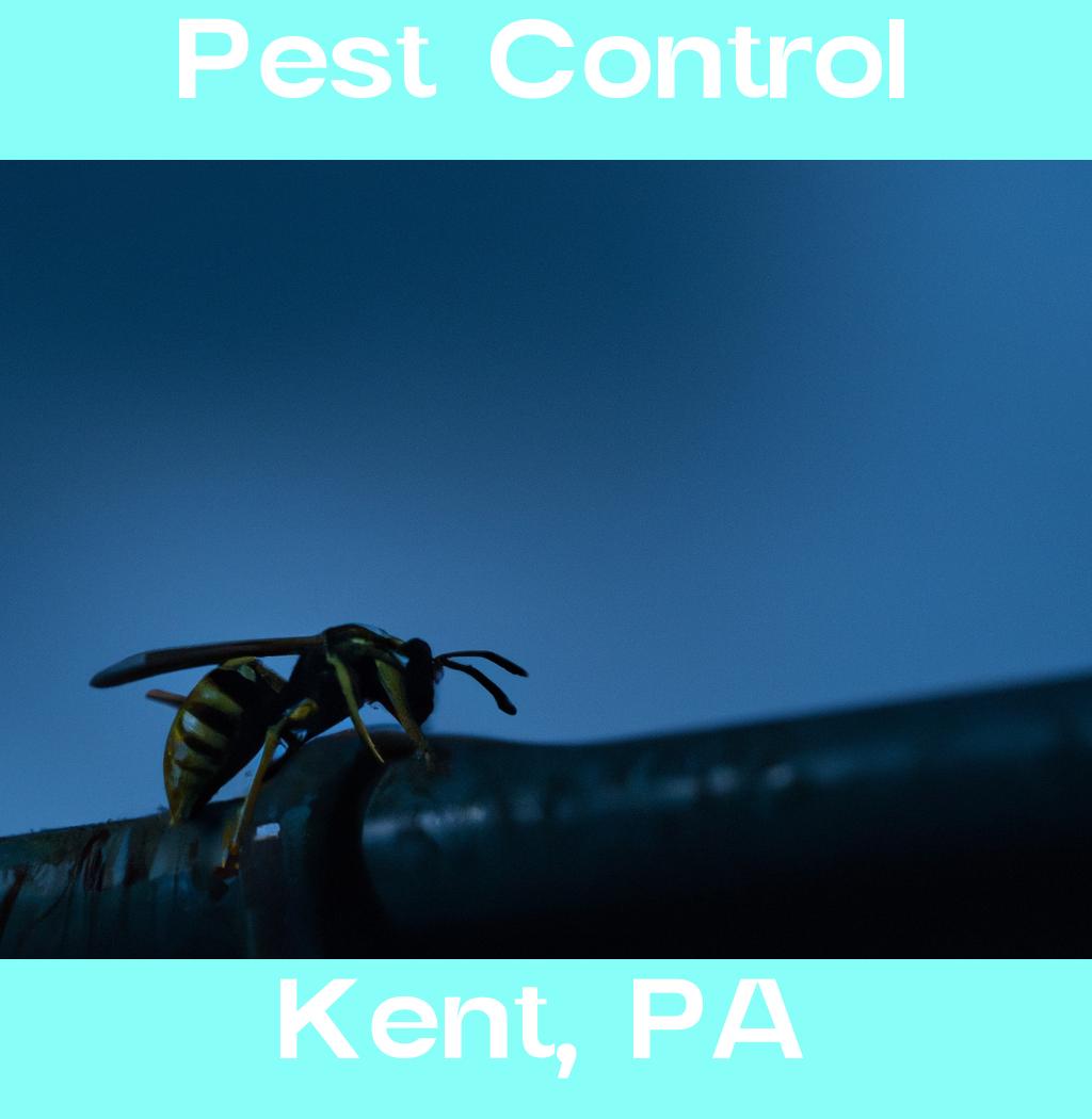 pest control in Kent Pennsylvania
