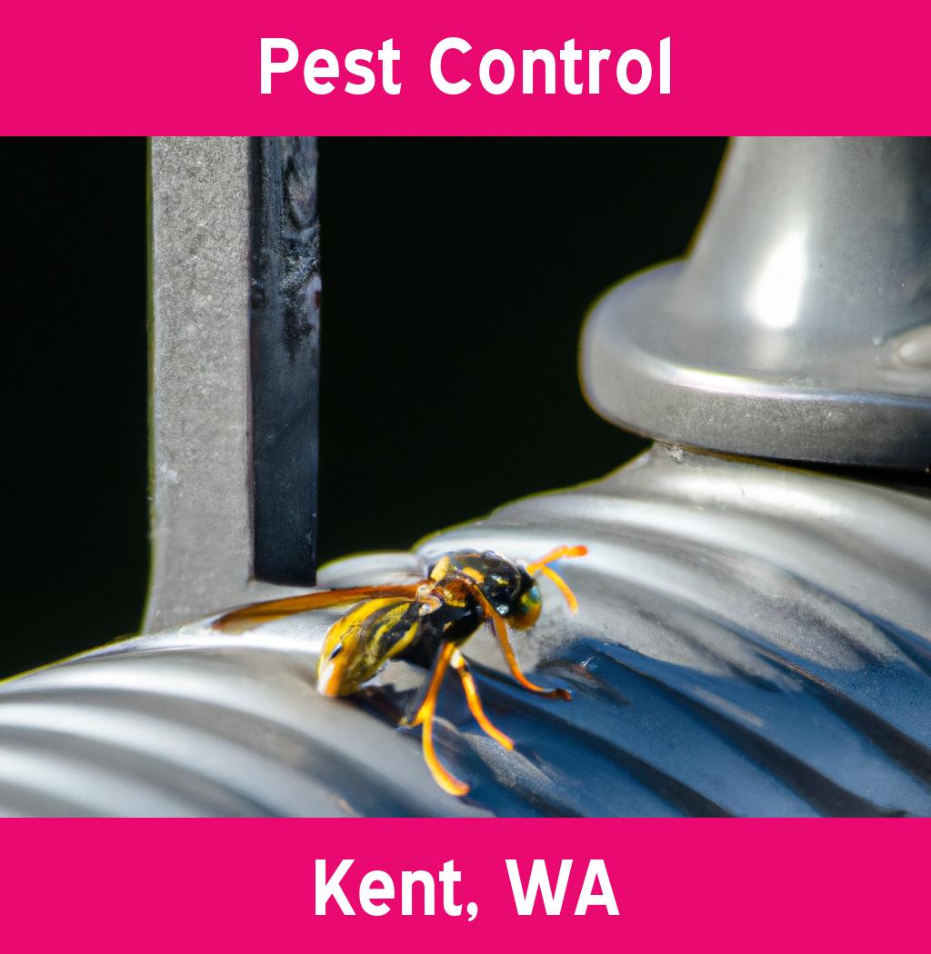 pest control in Kent Washington