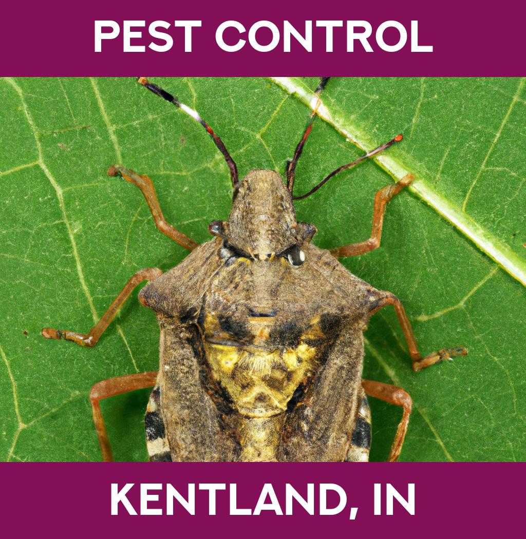 pest control in Kentland Indiana