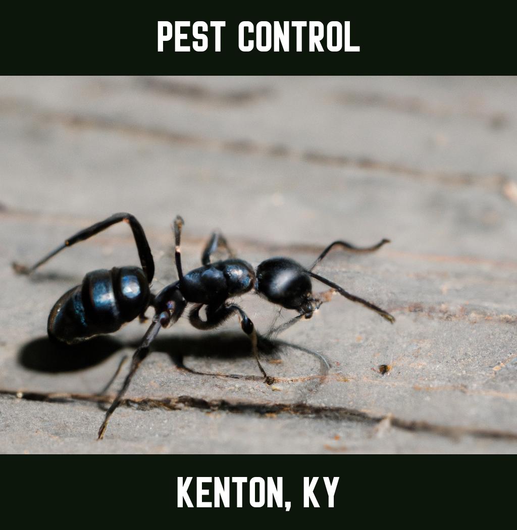 pest control in Kenton Kentucky