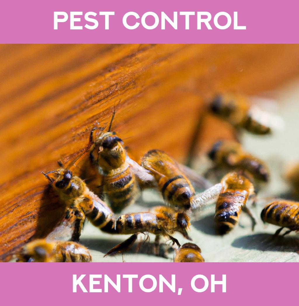 pest control in Kenton Ohio