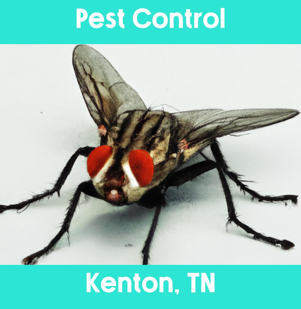 pest control in Kenton Tennessee