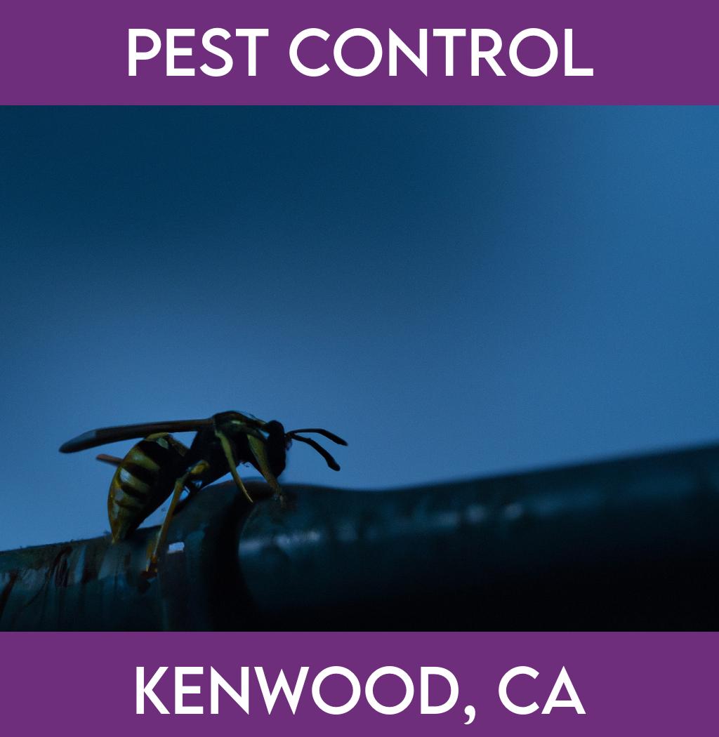 pest control in Kenwood California