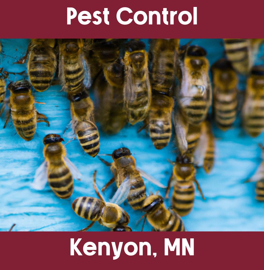 pest control in Kenyon Minnesota