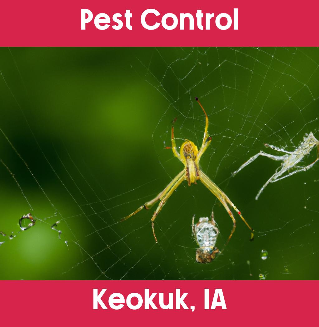 pest control in Keokuk Iowa