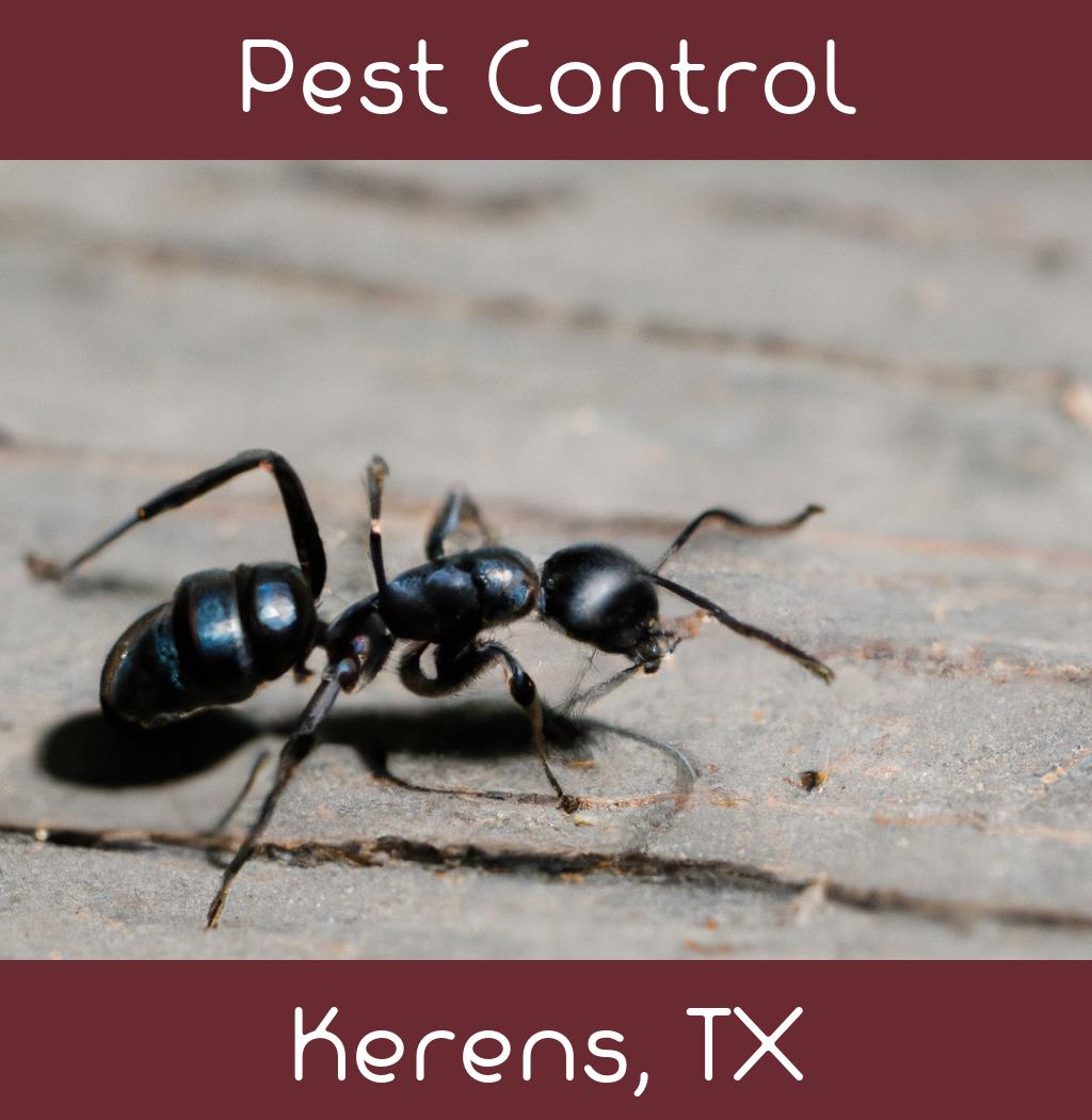 pest control in Kerens Texas