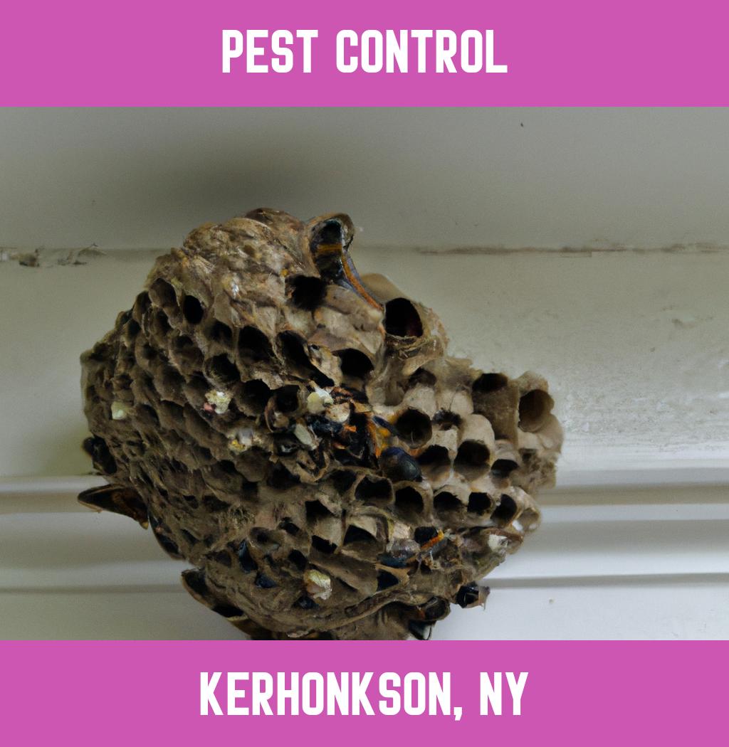 pest control in Kerhonkson New York