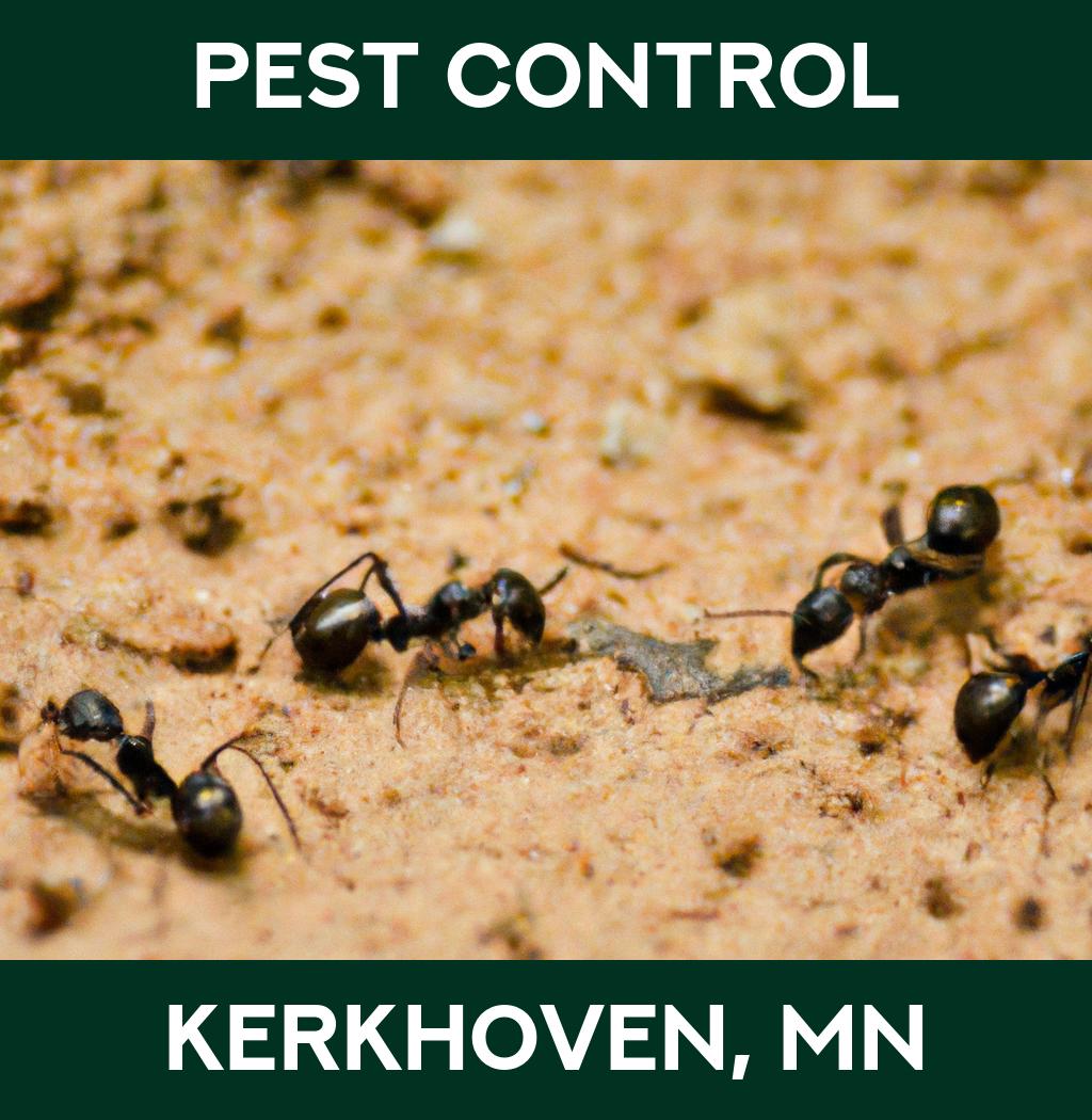 pest control in Kerkhoven Minnesota