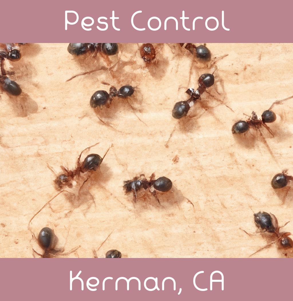 pest control in Kerman California