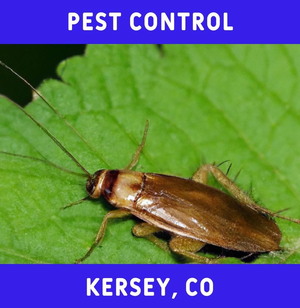 pest control in Kersey Colorado