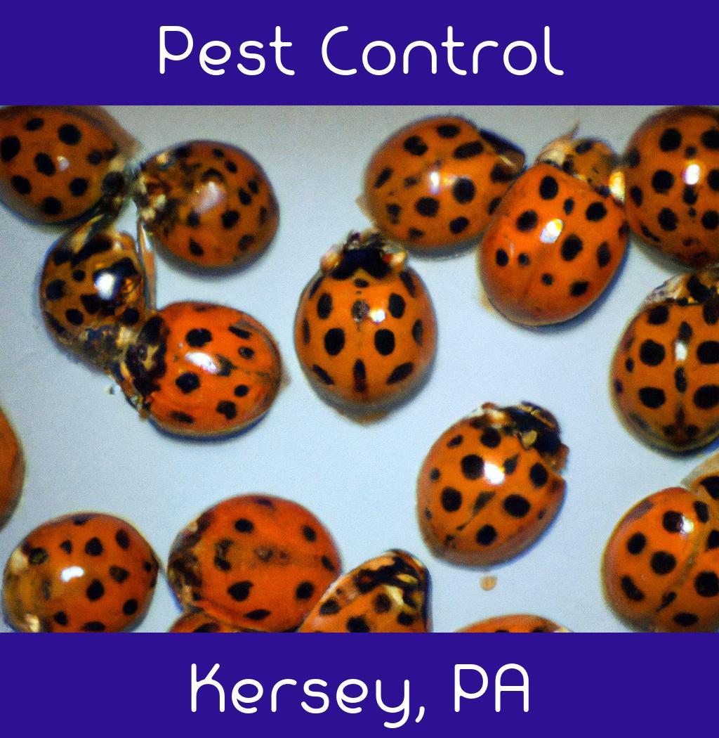 pest control in Kersey Pennsylvania