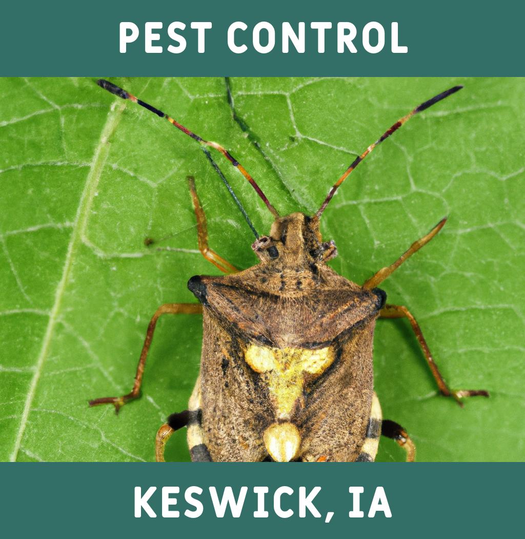 pest control in Keswick Iowa