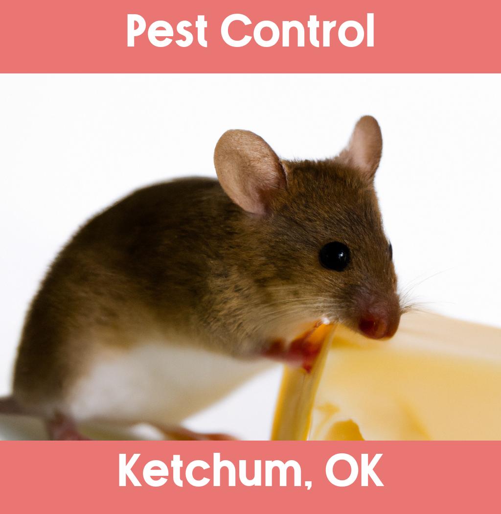 pest control in Ketchum Oklahoma