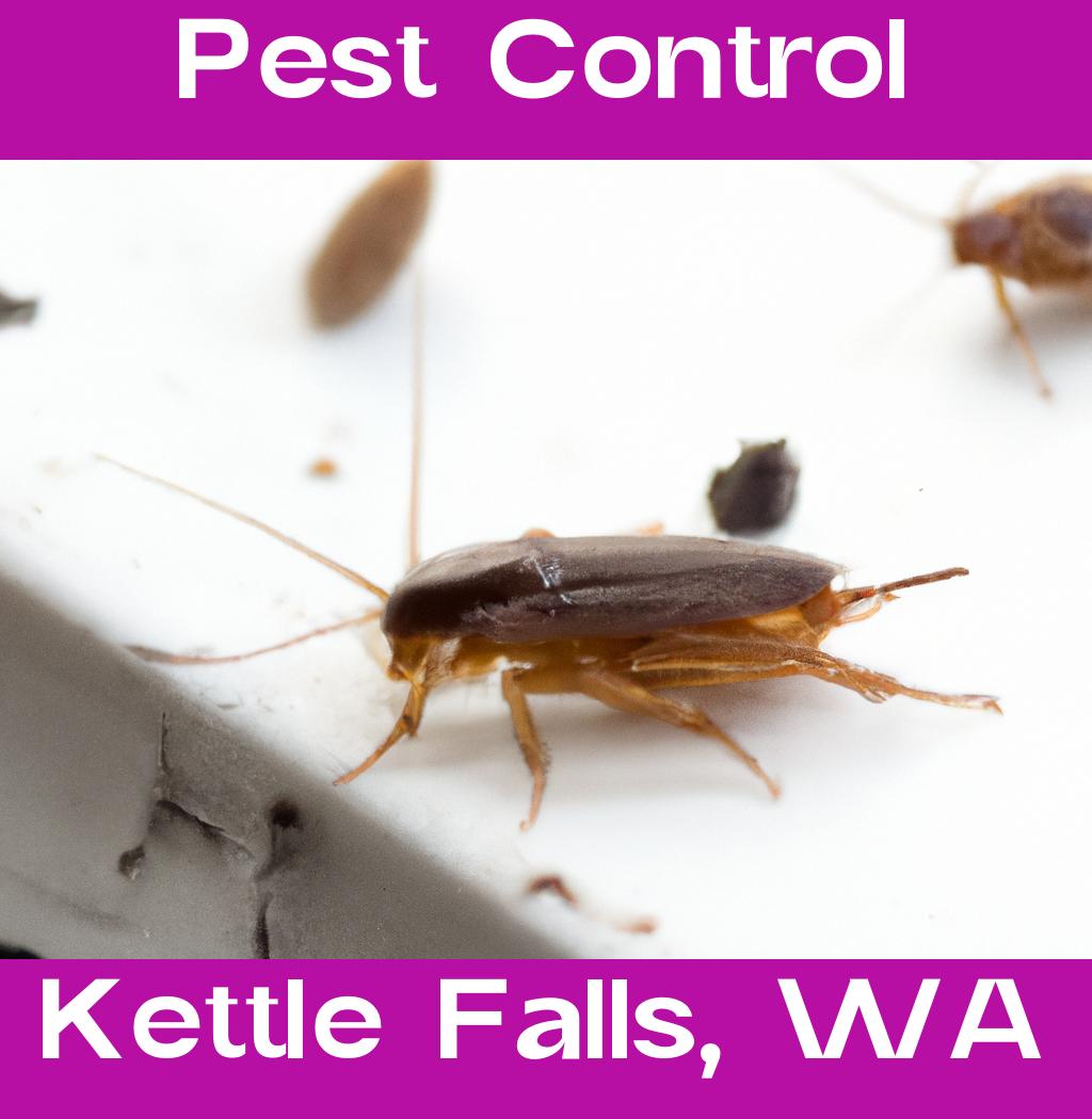 pest control in Kettle Falls Washington