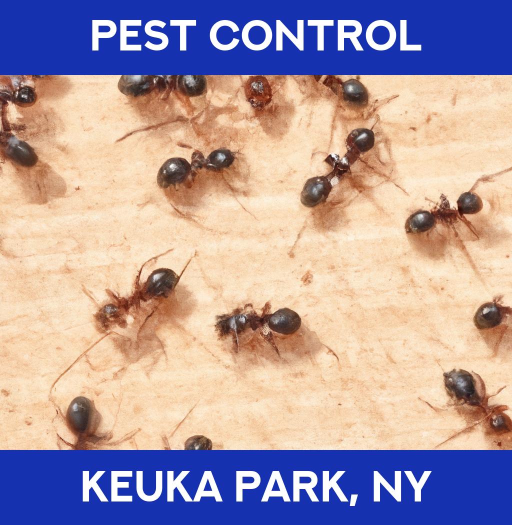 pest control in Keuka Park New York