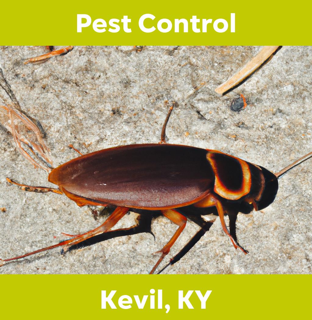 pest control in Kevil Kentucky