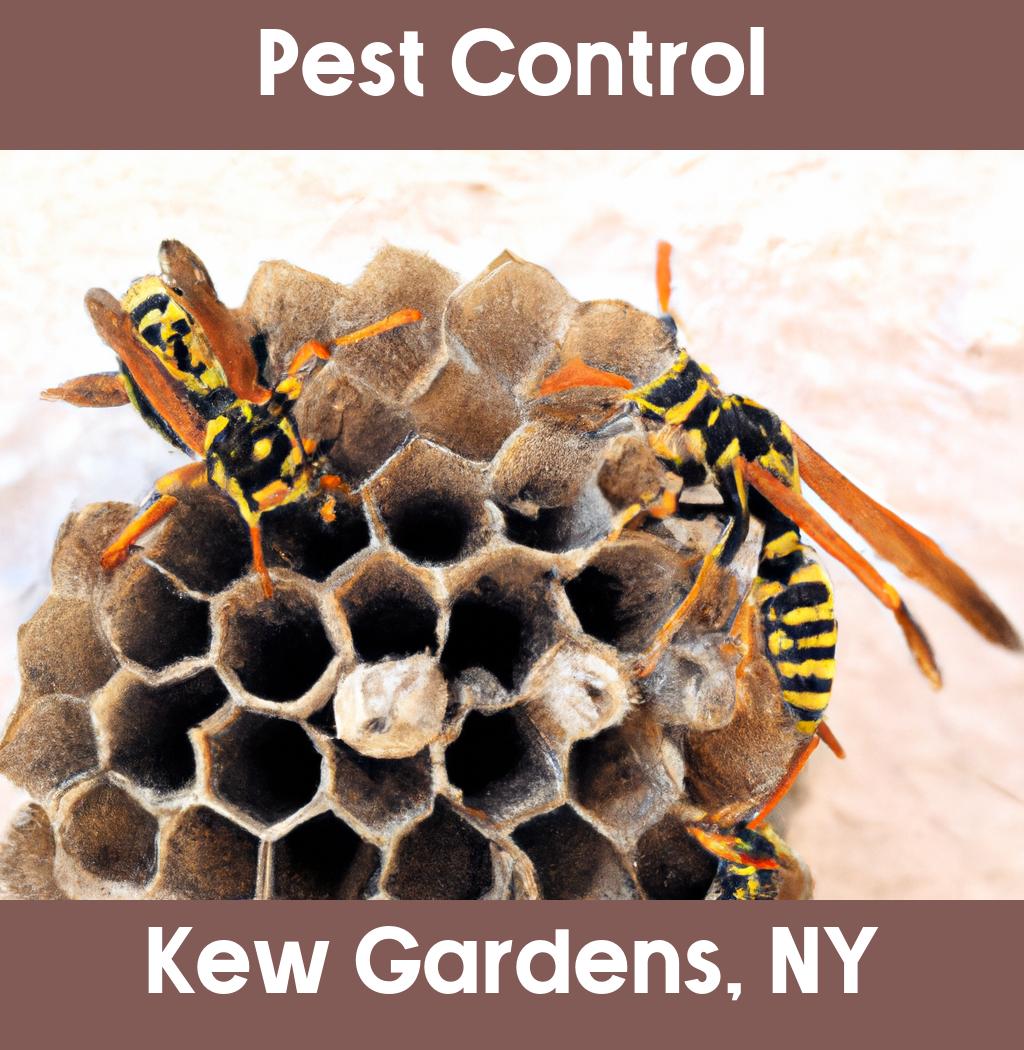 pest control in Kew Gardens New York