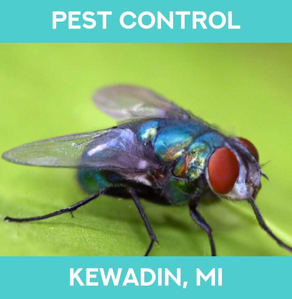 pest control in Kewadin Michigan