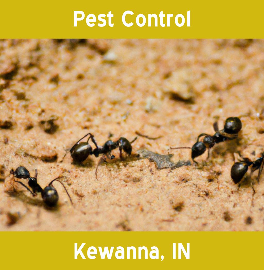 pest control in Kewanna Indiana