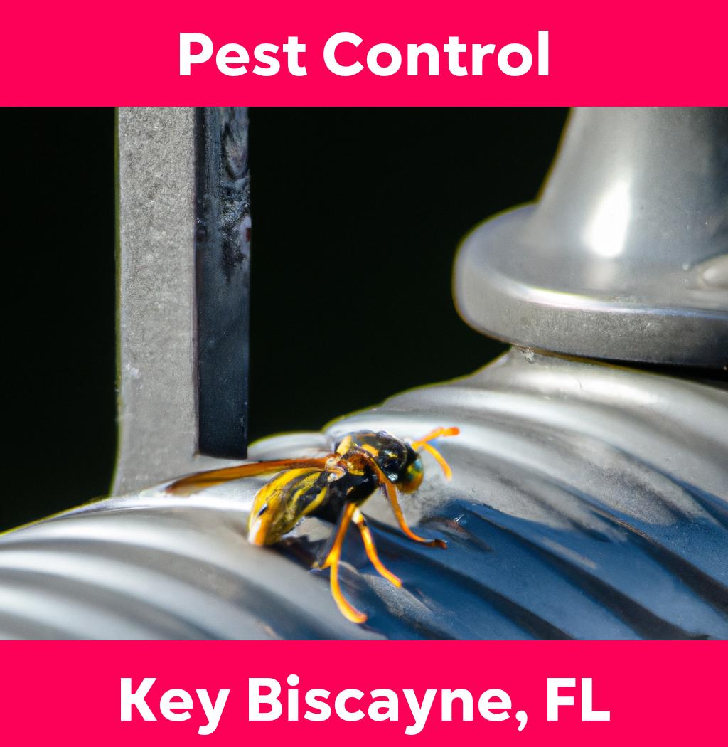 pest control in Key Biscayne Florida